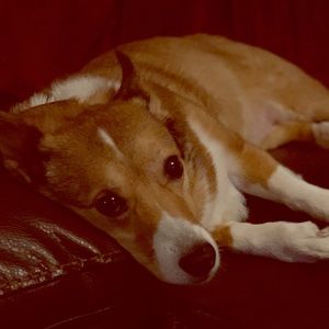 Quality time coming up!